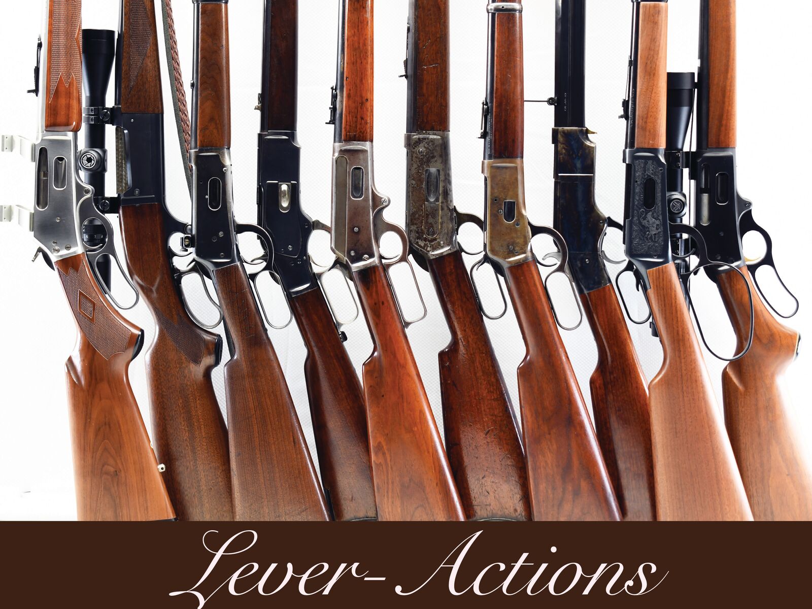 Auction Archives 4